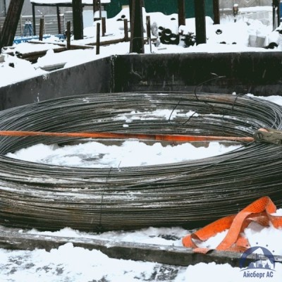 Проволока овальная 0,22х0,3-1-55 ГОСТ 3875-83 купить в Ялте